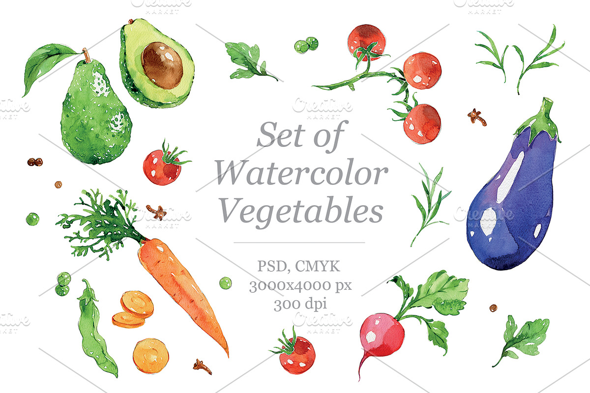 Set of watercolour Vegetables in Illustrations - product preview 8