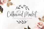 NEW! | Cottonwood Market Typeface