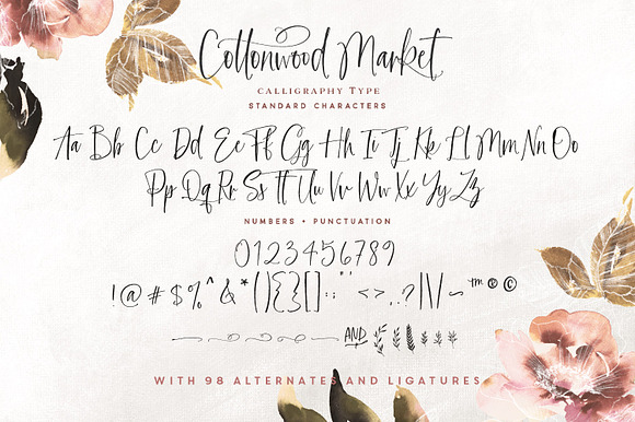 NEW! | Cottonwood Market Typeface in Script Fonts - product preview 16