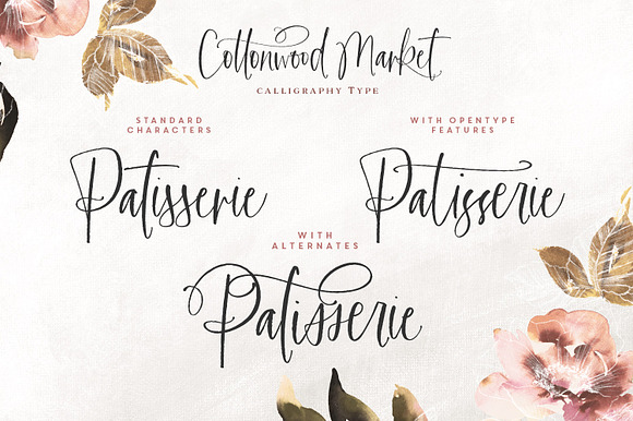 NEW! | Cottonwood Market Typeface in Script Fonts - product preview 17