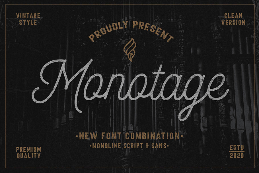 Monotage in Script Fonts - product preview 8