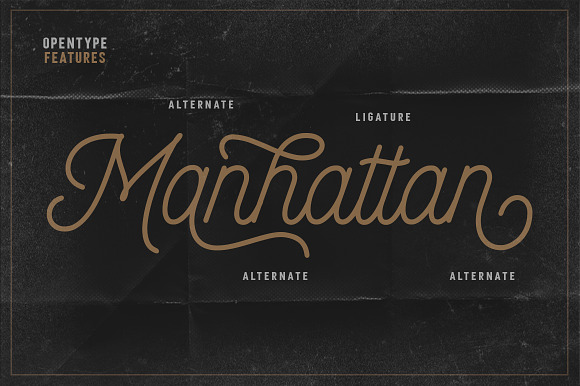 Monotage in Script Fonts - product preview 1