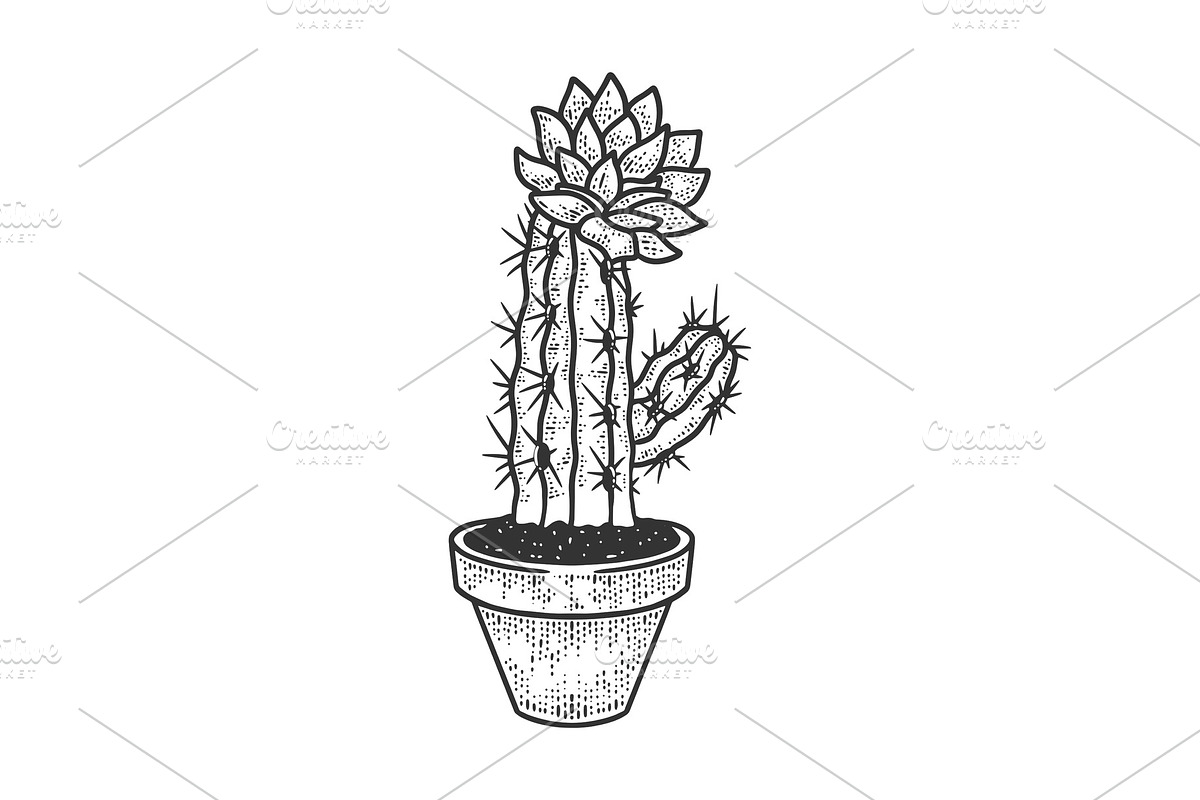 blooming cactus in pot sketch vector in Illustrations - product preview 8