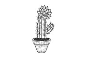 blooming cactus in pot sketch vector