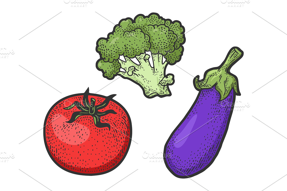 Fresh vegetables sketch vector in Illustrations - product preview 8