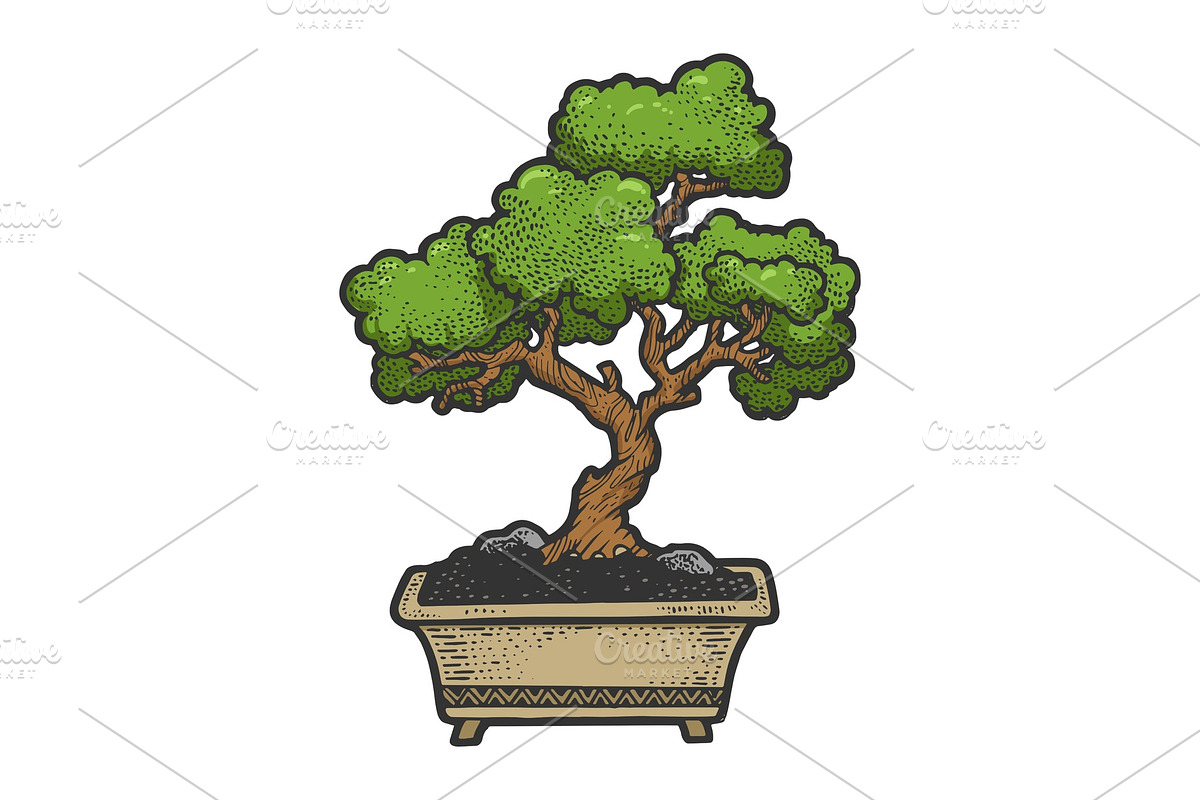 Bonsai tree sketch engraving vector in Illustrations - product preview 8
