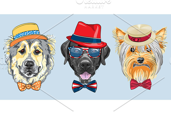 vector Set 3 cartoon hipster dogs