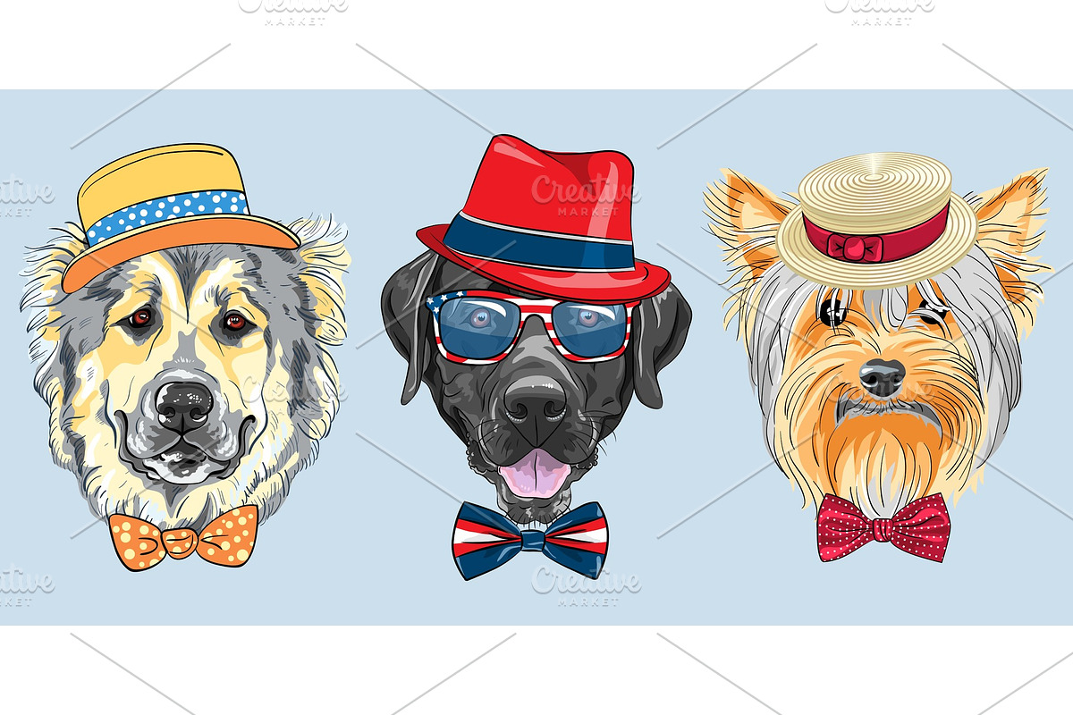 vector Set 3 cartoon hipster dogs in Illustrations - product preview 8