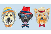 vector Set 3 cartoon hipster dogs