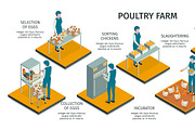 Isometric poultry farm infographics