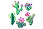 Set of with cacti and flowers.