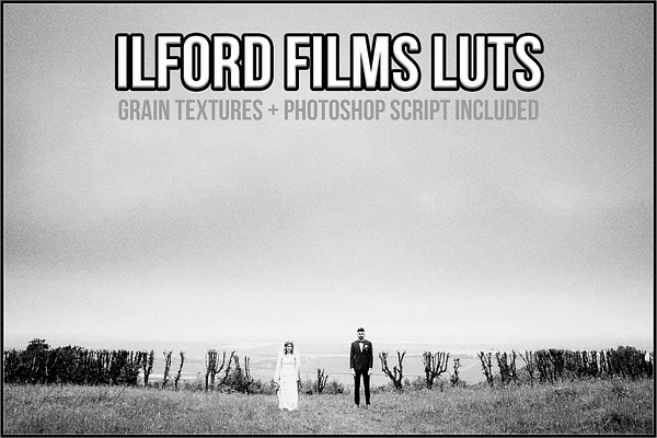 Ilford Films LUTs