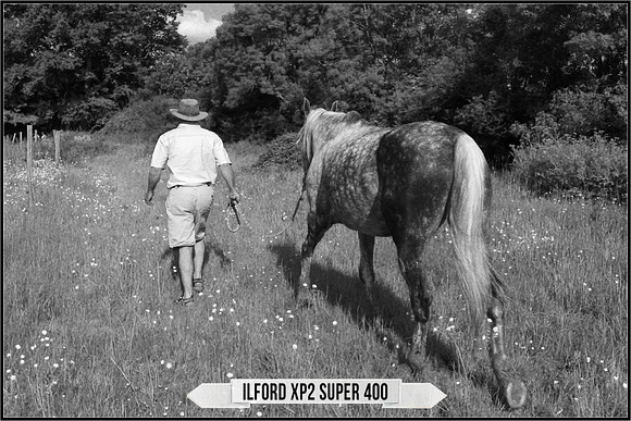 Ilford Films LUTs in Add-Ons - product preview 15