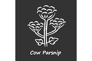 Cow parsnip chalk icon