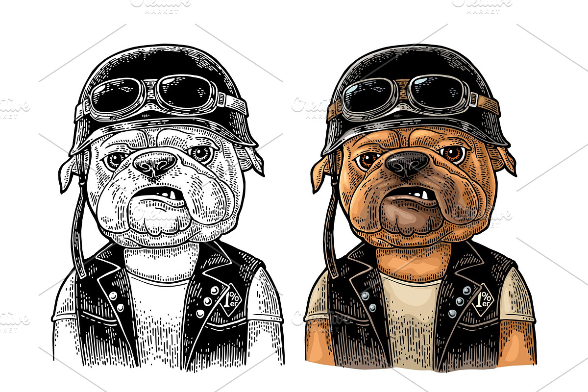 Dog bulldog dressed in the helmet in Illustrations - product preview 8
