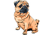 vector cute dog pug breed
