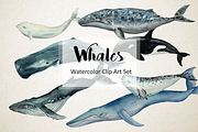 Whales - Watercolor Clip Art & Print