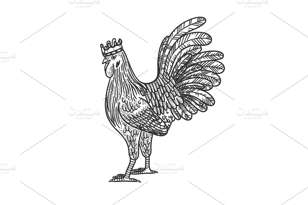 rooster in the crown sketch vector in Illustrations - product preview 8