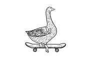goose on skateboard sketch vector