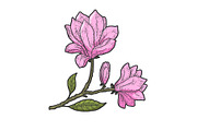 Magnolia flower sketch vector
