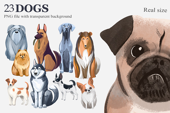 Dogs. Png clipart in Illustrations - product preview 2
