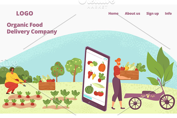 Web app for organic food delivery