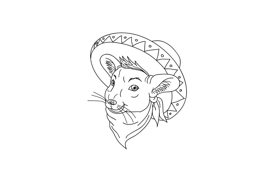 Mexican Chinchilla Wearing Sombrero