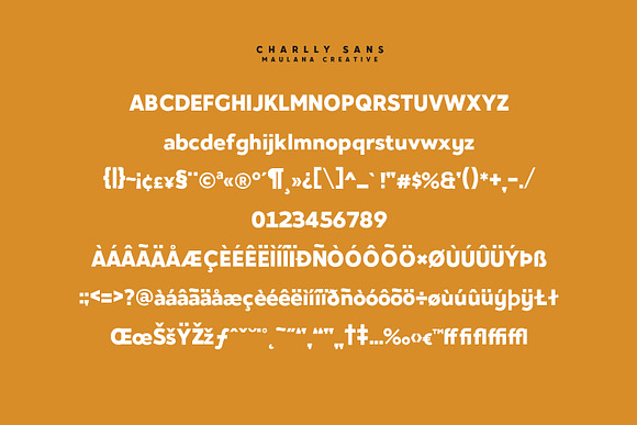 Charlly Font Duo in Display Fonts - product preview 7