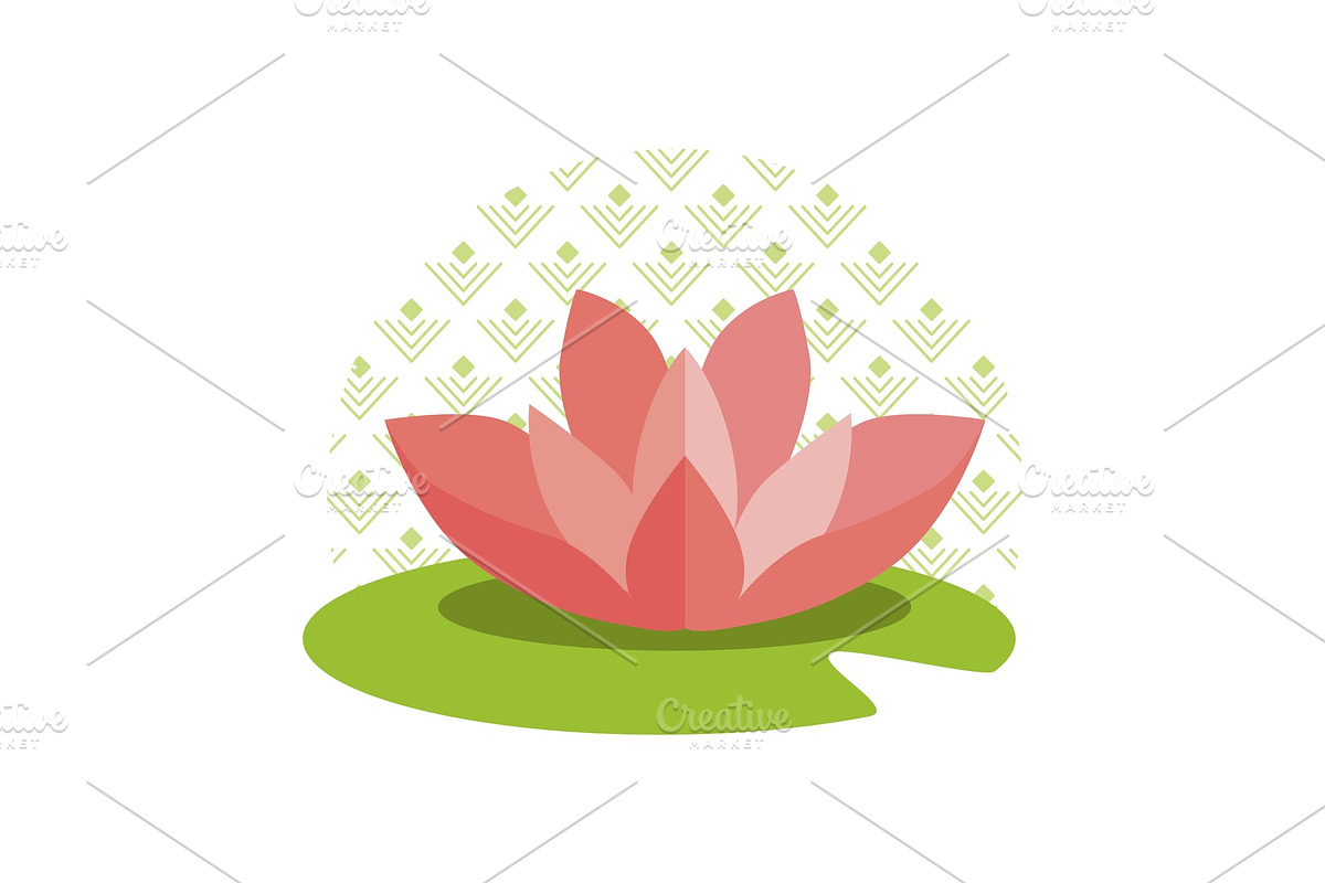 Pink Lotus on Green Leaf and Circle in Illustrations - product preview 8