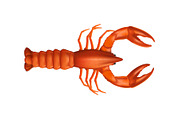 Red lobster with two claws realistic