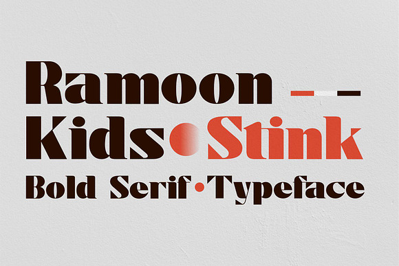 Stink / Bold Serif Font in Serif Fonts - product preview 4