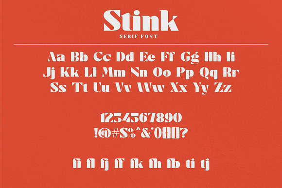 Stink / Bold Serif Font in Serif Fonts - product preview 6