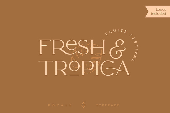 Royale Luxurious Typeface + LOGOS in Serif Fonts - product preview 12