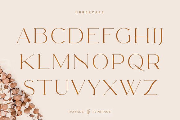 Royale Luxurious Typeface + LOGOS in Serif Fonts - product preview 22