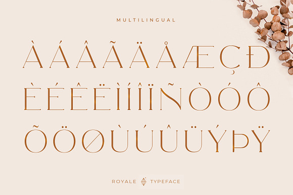 Royale Luxurious Typeface + LOGOS in Serif Fonts - product preview 23