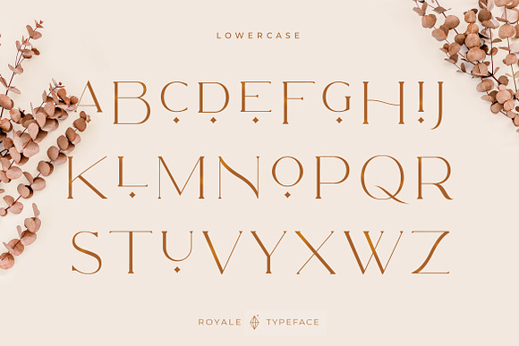 Royale Luxurious Typeface + LOGOS in Serif Fonts - product preview 24