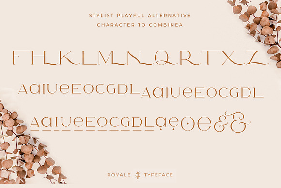 Royale Luxurious Typeface + LOGOS in Serif Fonts - product preview 25