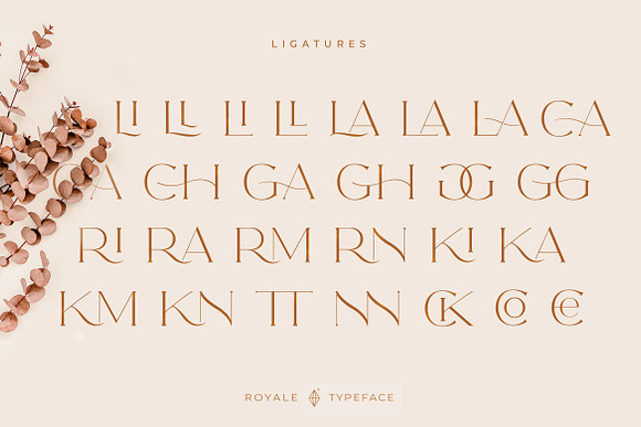 Royale Luxurious Typeface + LOGOS in Serif Fonts - product preview 26