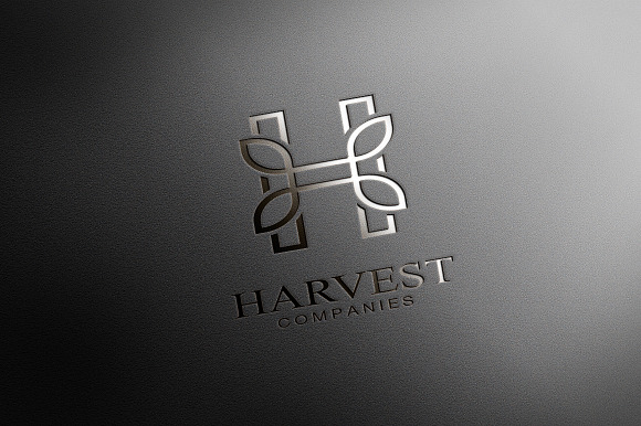 H Leaf Logo in Logo Templates - product preview 2