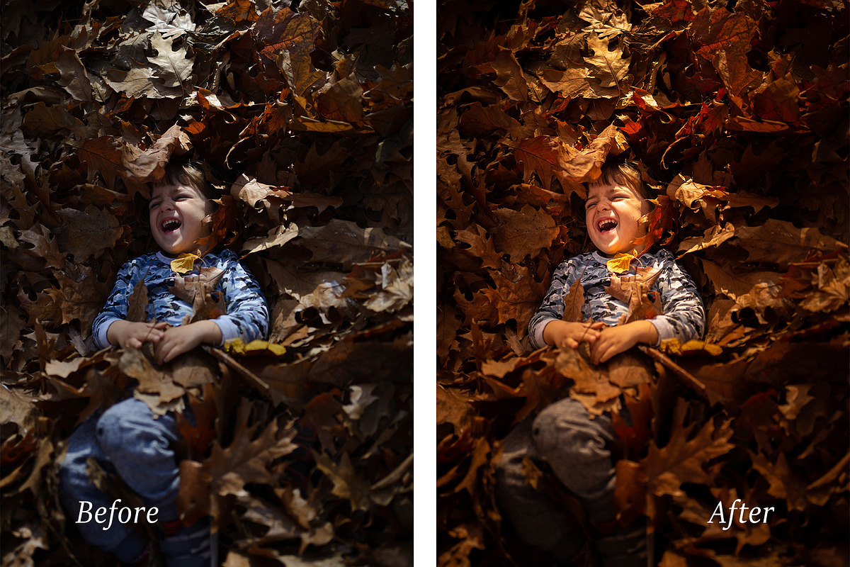 Autumn Adobe Lightroom Presets in Add-Ons - product preview 8