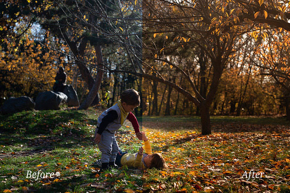 Autumn Adobe Lightroom Presets in Add-Ons - product preview 3