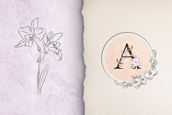 Floral. Letters & Illustrations pack in Illustrations - product preview 4