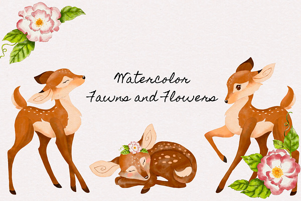 Watercolor fawns
