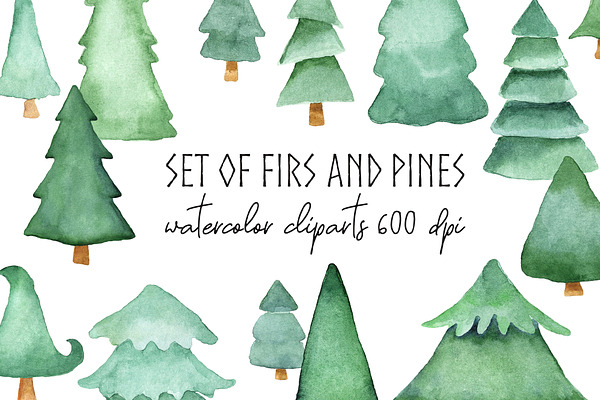 Watercolor Fir Tree PNG Objects