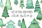 Watercolor Fir Tree PNG Objects