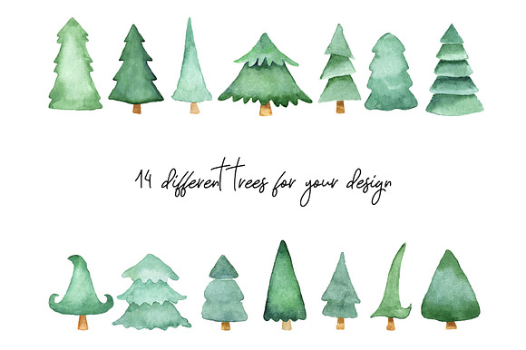 Watercolor Fir Tree PNG Objects in Objects - product preview 1