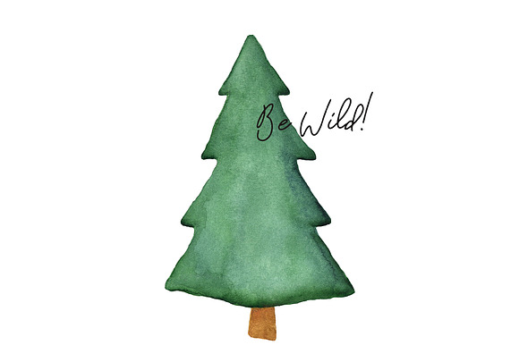 Watercolor Fir Tree PNG Objects in Objects - product preview 4