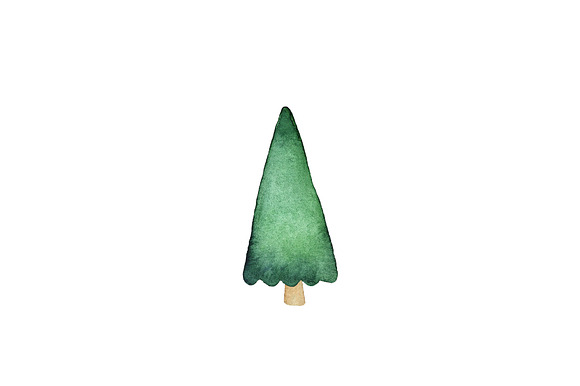 Watercolor Fir Tree PNG Objects in Objects - product preview 5