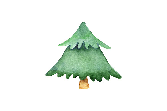 Watercolor Fir Tree PNG Objects in Objects - product preview 6