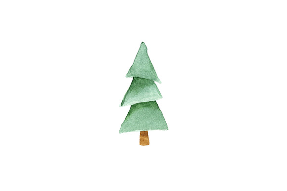 Watercolor Fir Tree PNG Objects in Objects - product preview 7